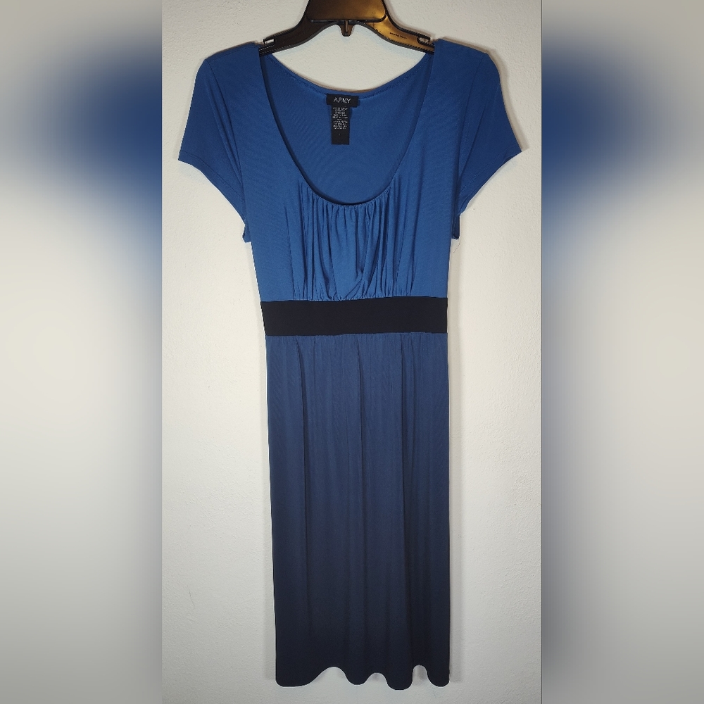NWOT A.P.N.Y. Color Blocked Blue High Waist Dress Peasant Style SIZE Large
